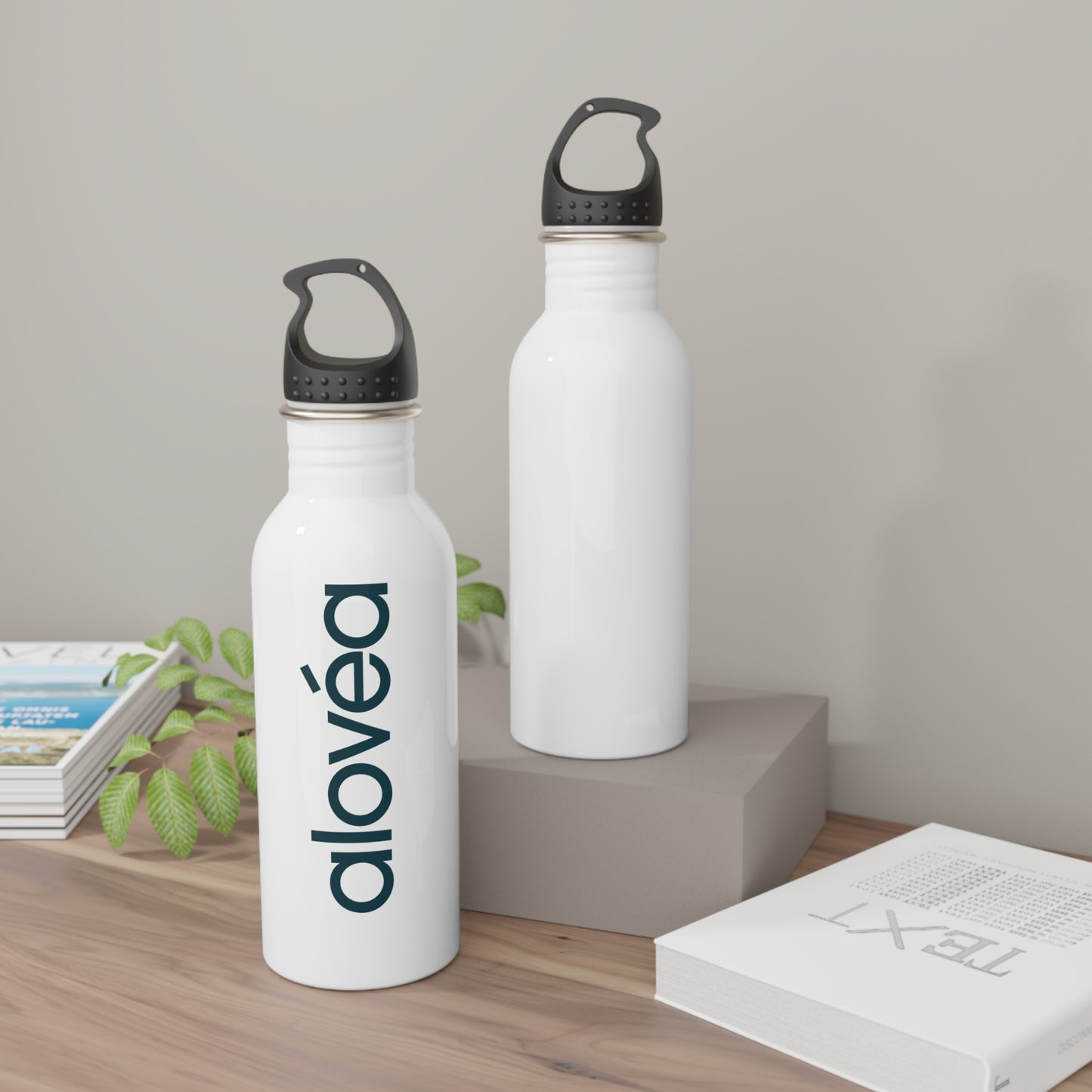 Stainless Steel Water Bottle - Eco-Friendly Hydration